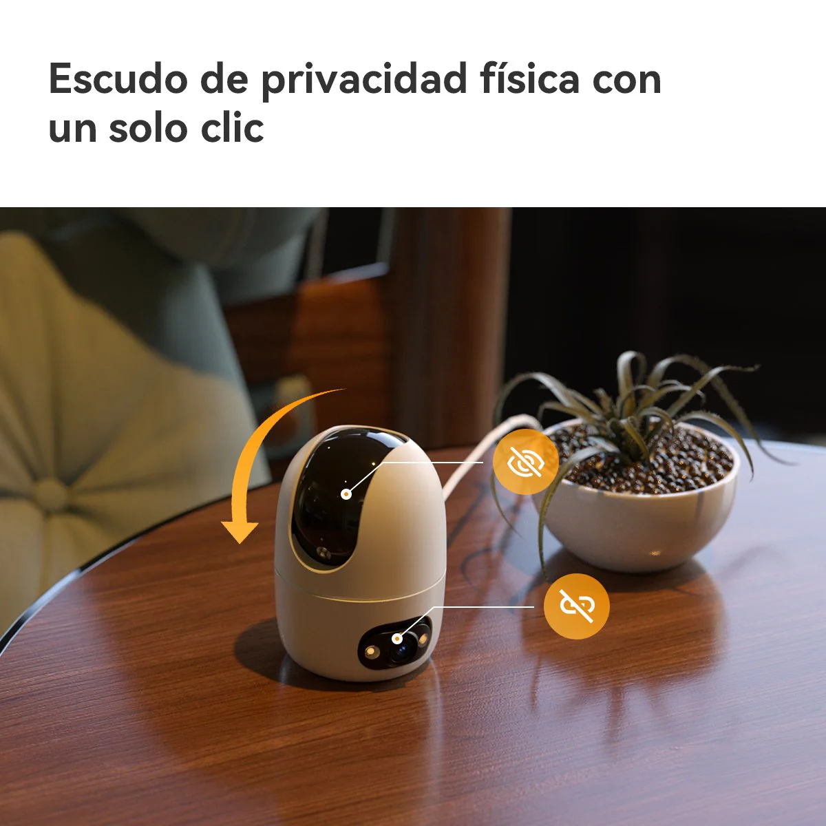 Imagen del producto 32
