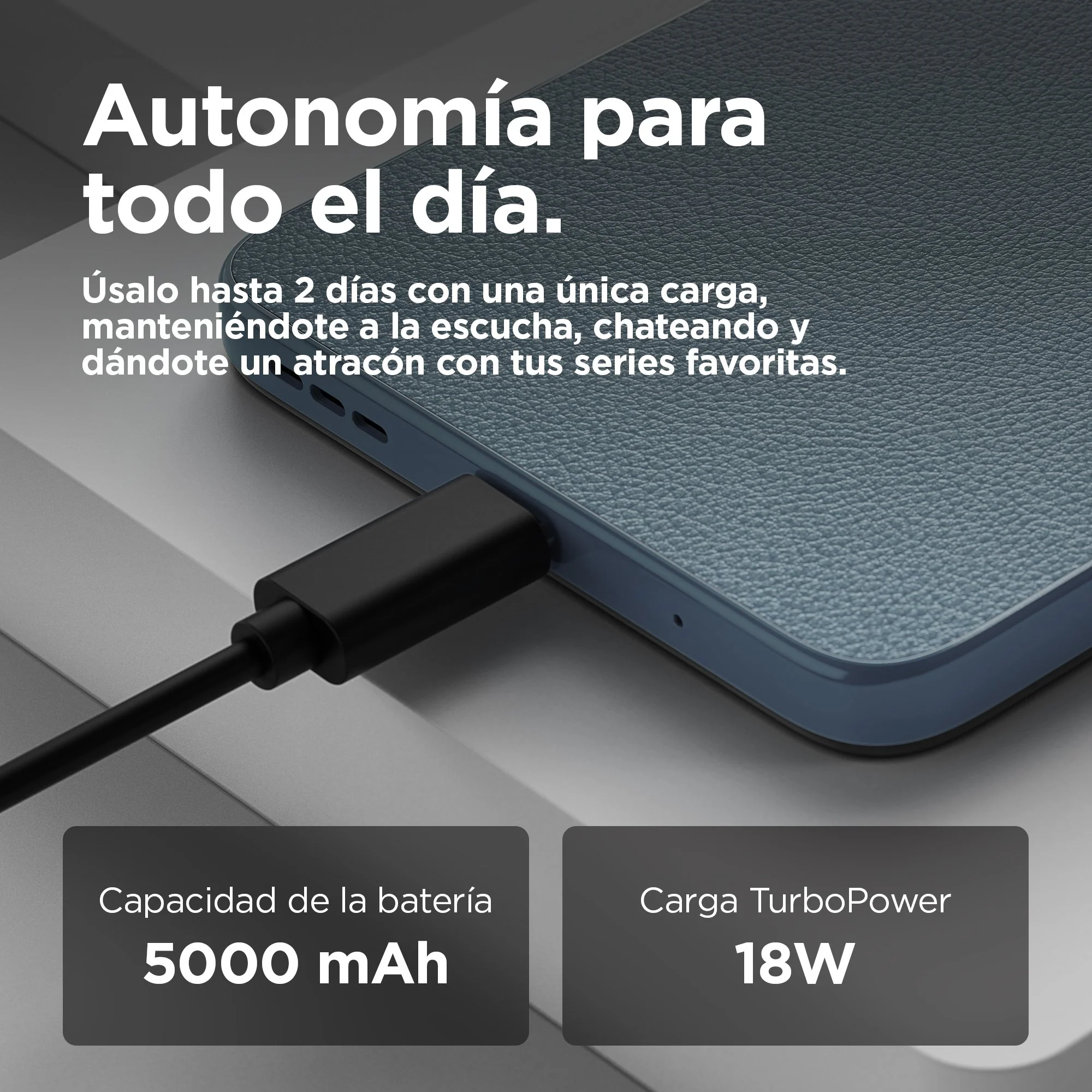 Imagen del producto 10