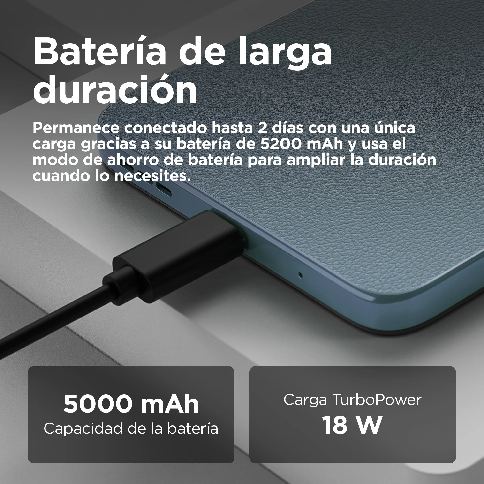 Imagen del producto 17