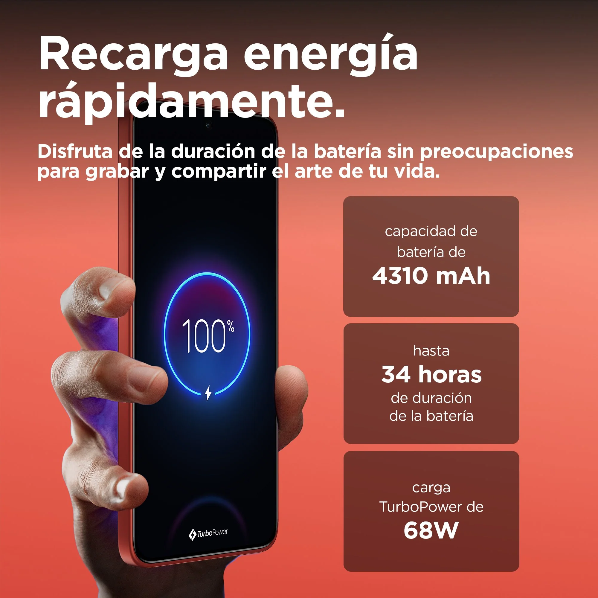 Imagen del producto 8