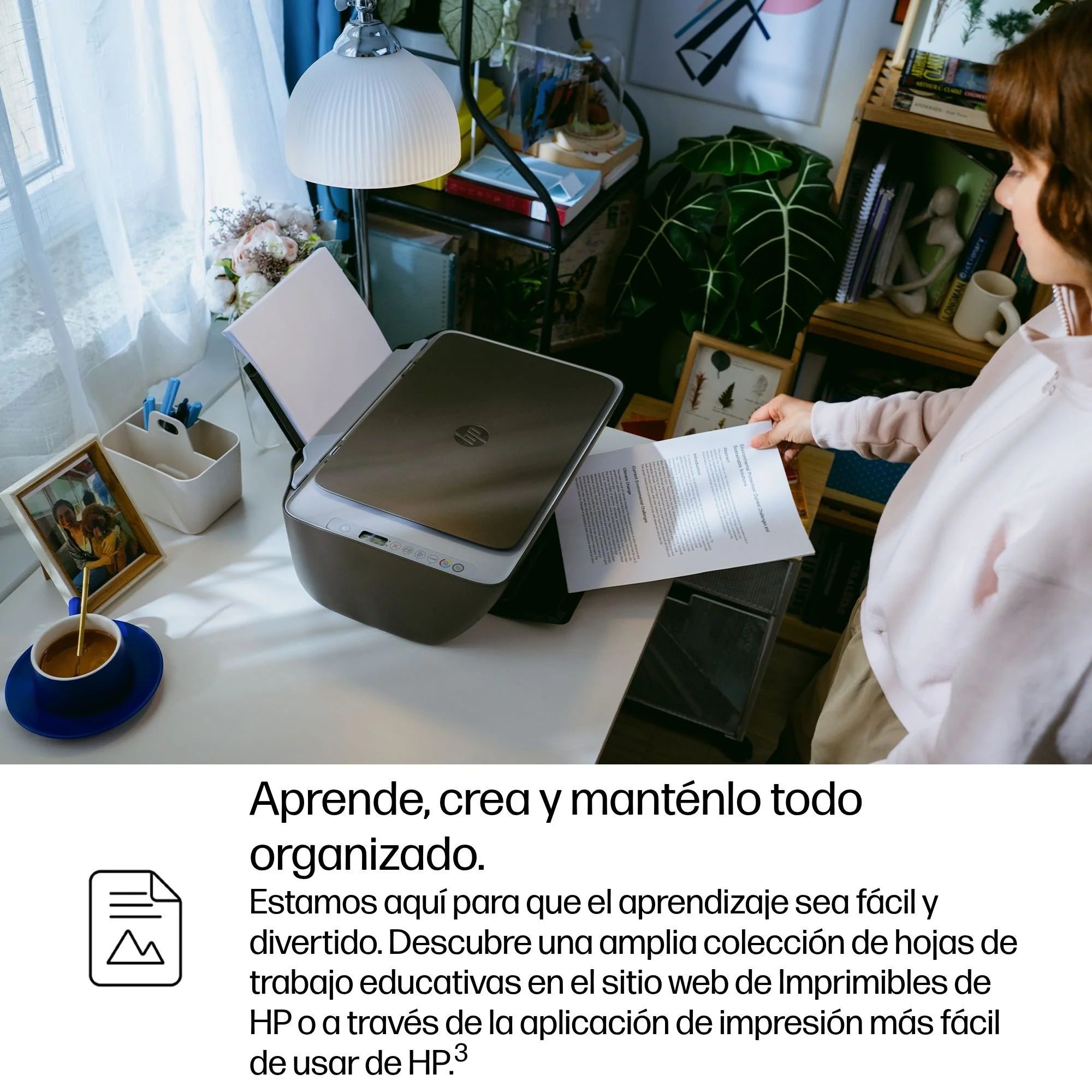 Imagen del producto 8