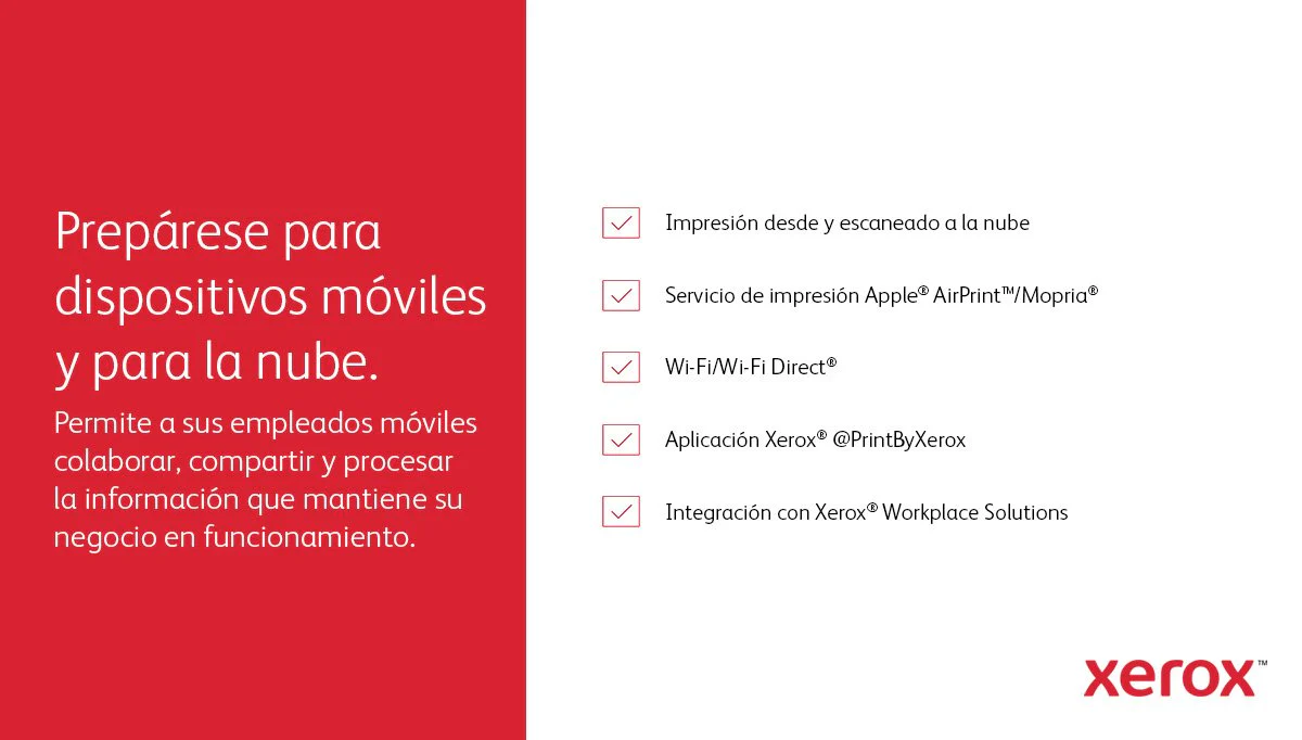 Imagen del producto 33